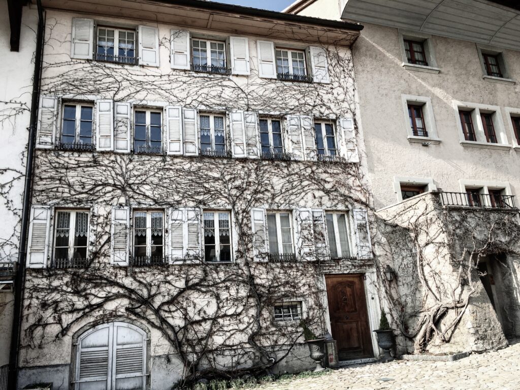 Gruyères Castle