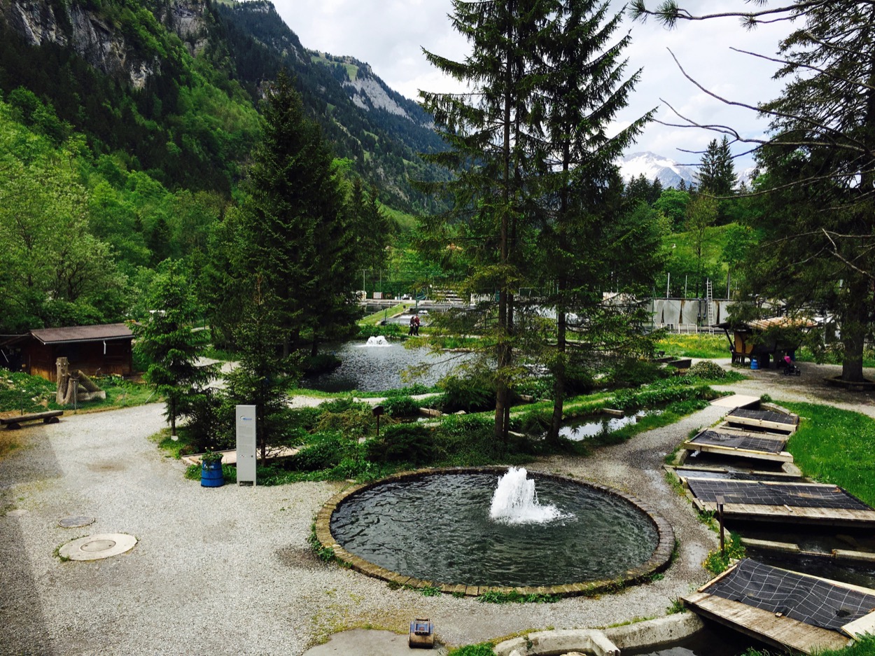 Blausee, the alpine organic trout farm (Bio Suisse)