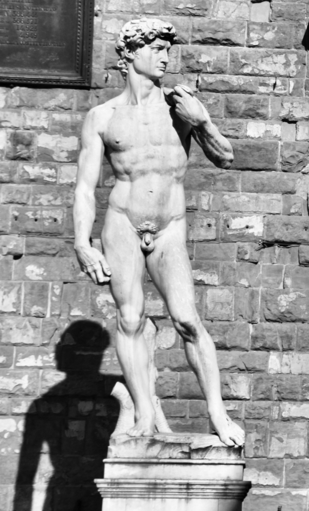 Michelangelo's David
