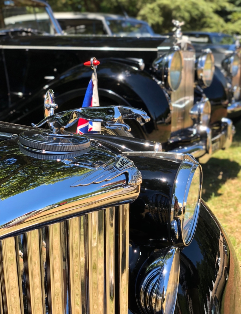 Concours d'Elégance Suisse, JAGUAR MKV, 1949