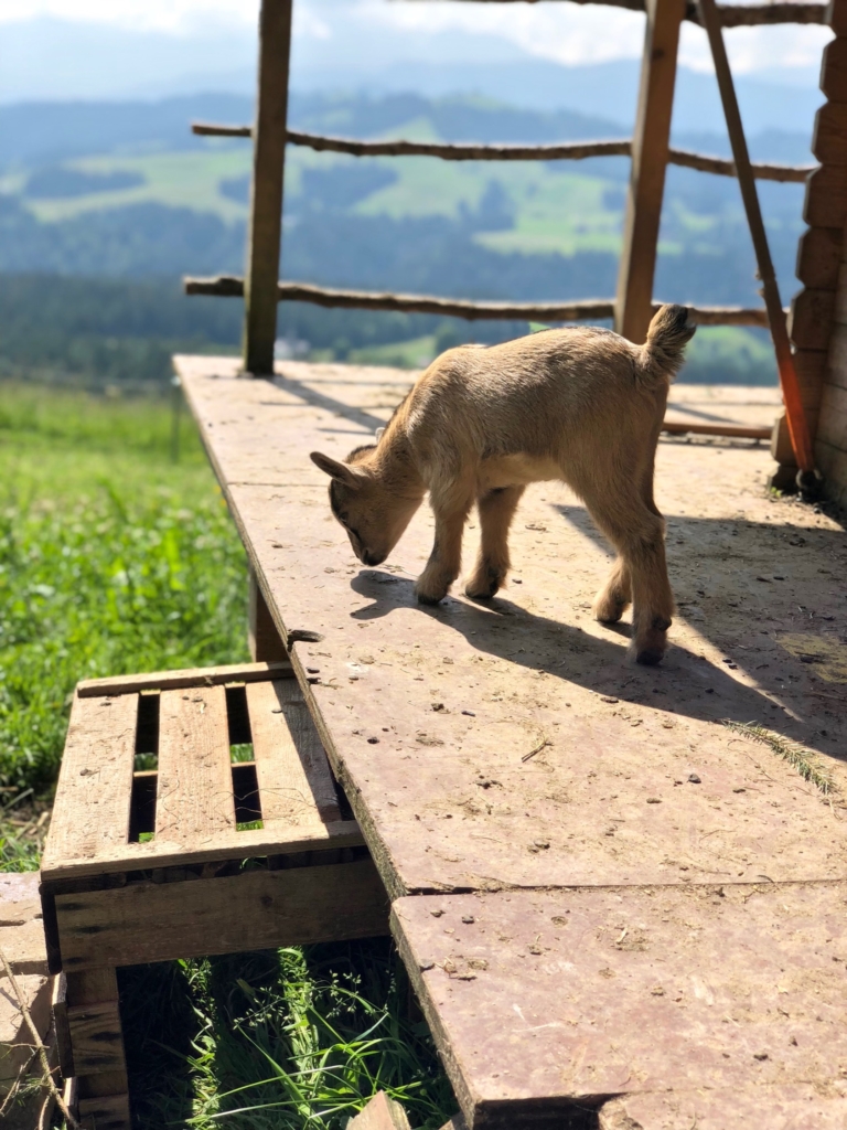 Emmental Valley