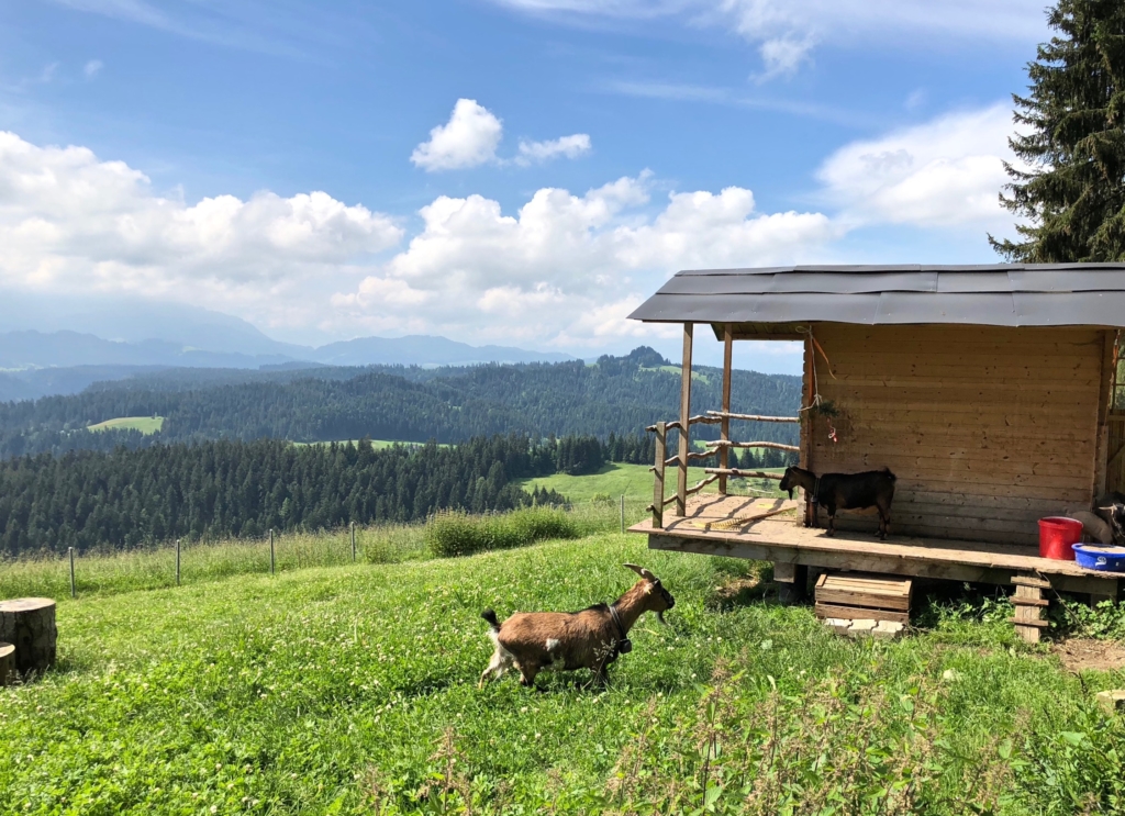 Emmental Valley