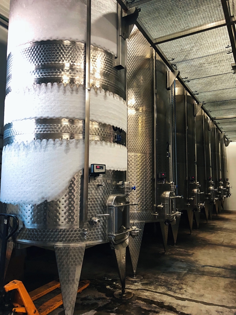 Tour at the Scheiblhofer winery