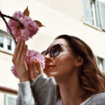 cherry blossoms in Zurich