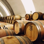 Wine cellar Staatskellerei Zurich