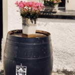 wine oak barrel