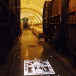 Staatskellerei Zurich wine cellar