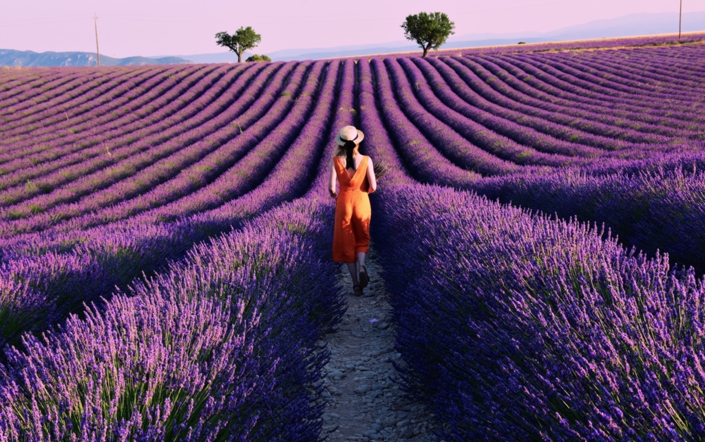 Colours of Provence - Moname Magazine