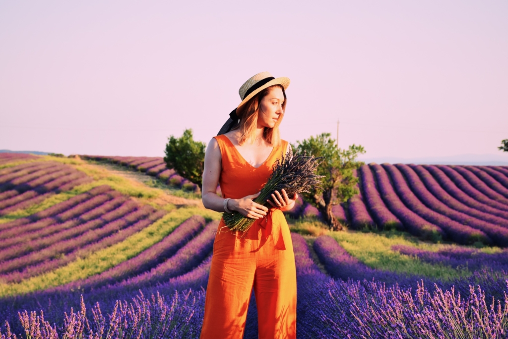 Lavender fields of Provence
