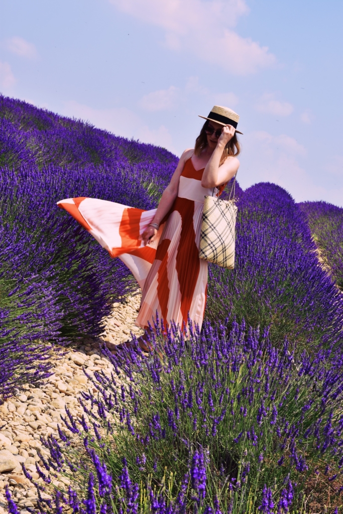 Lavender fields of Provence