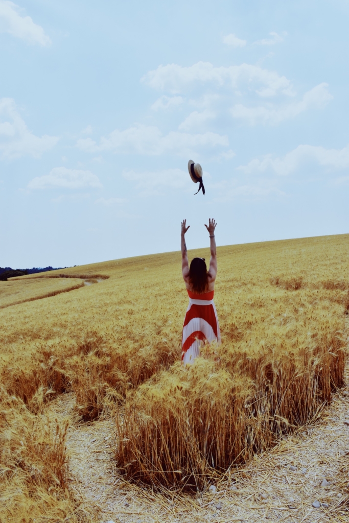 Wheat fields of Provence