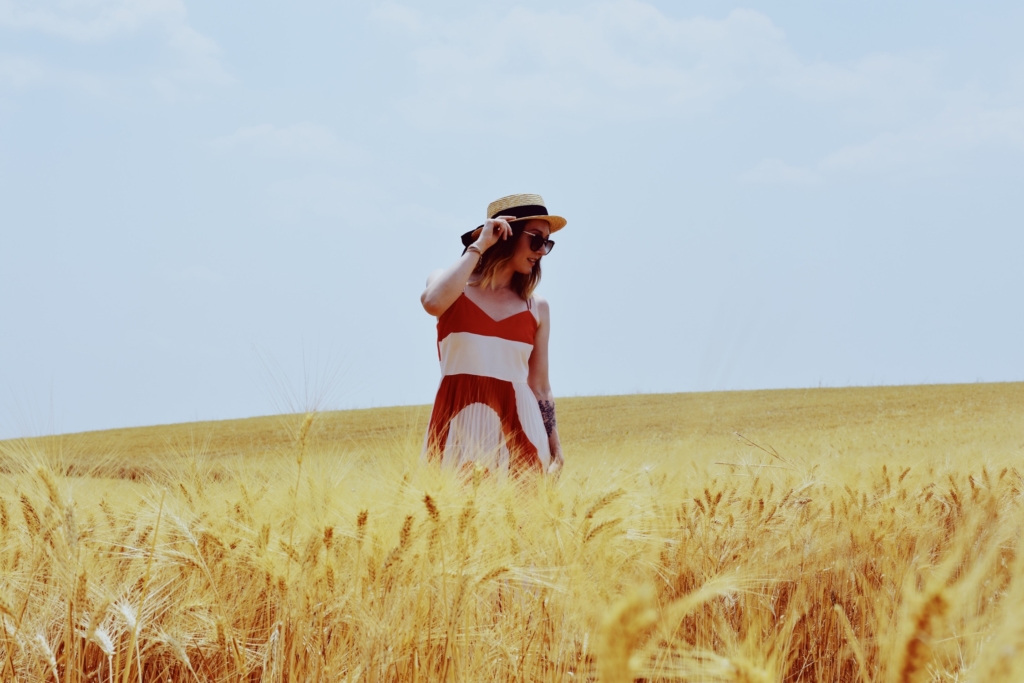 Wheat fields of Provence