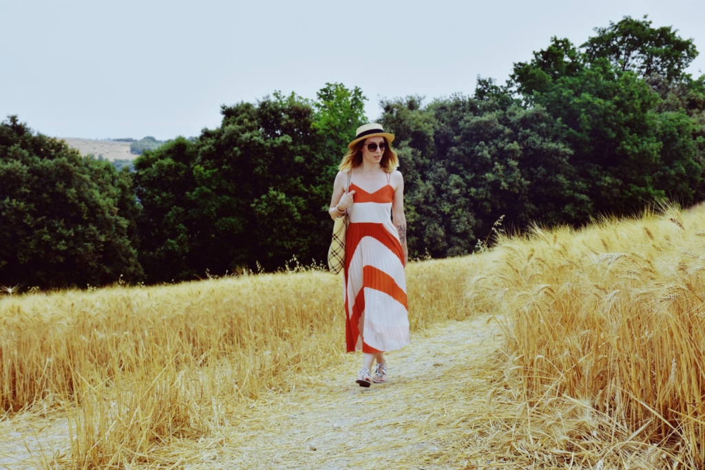 Wheat fields of Provence