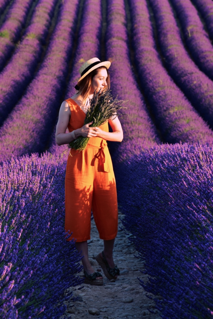 Lavender of Provence