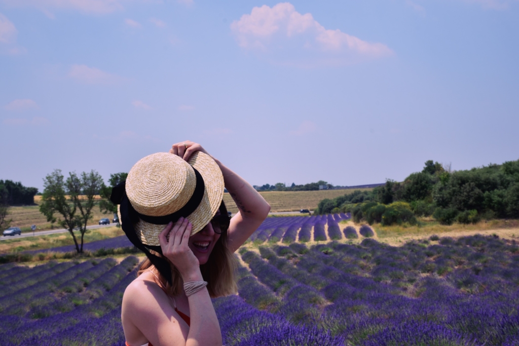 Lavender fields of Provence