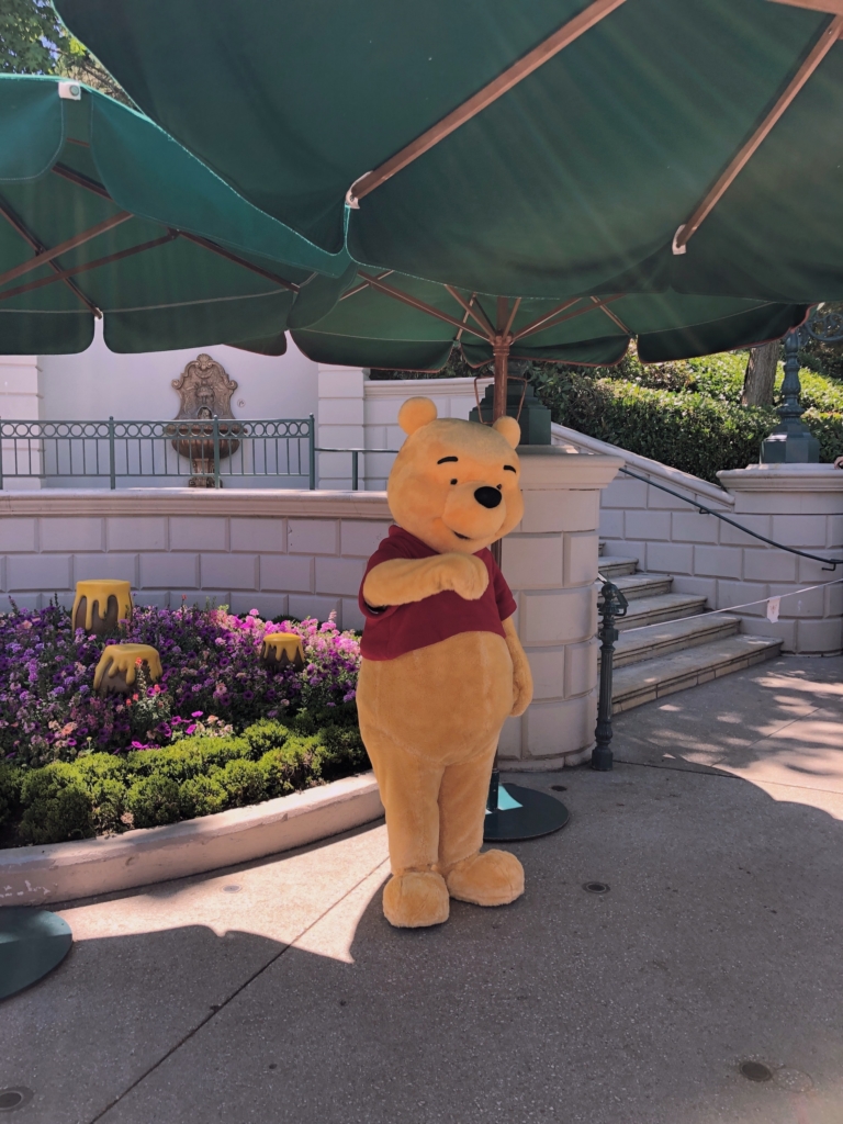 Disneyland Paris, Disneyland Park, Meet&Greet with Winnie the Pooh