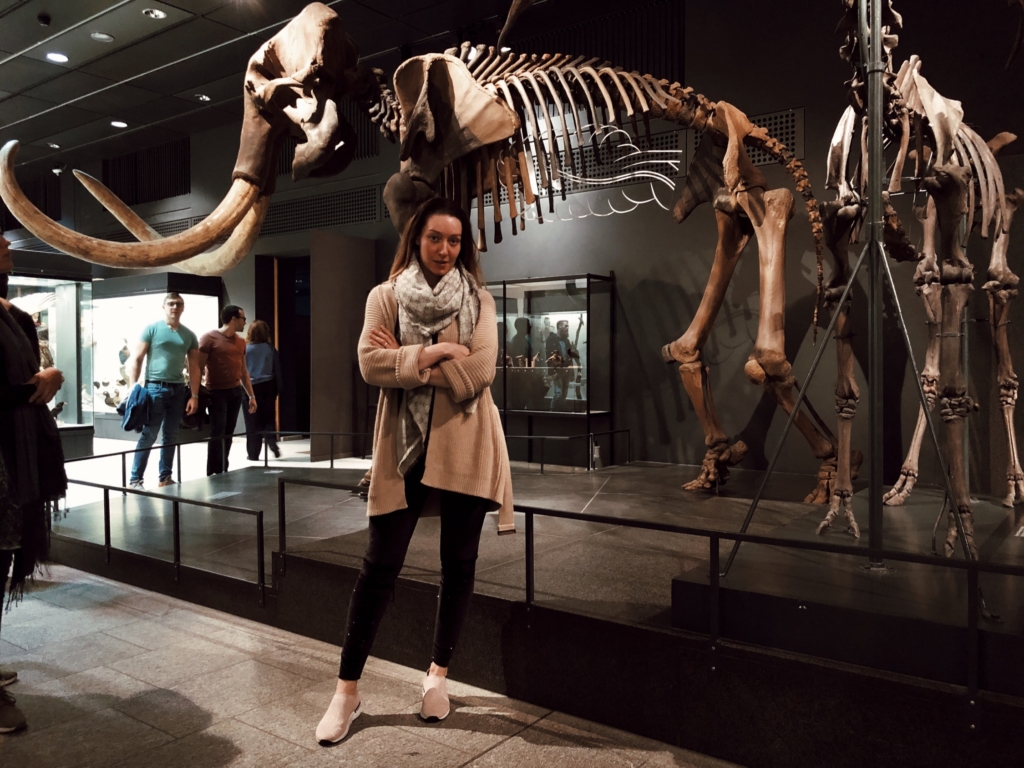 Zurich Museums Night, Palaeontological Museum of the University of Zurich