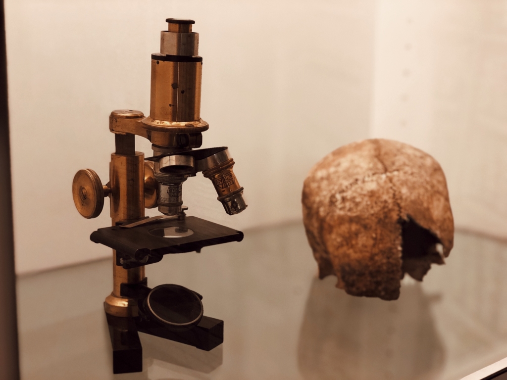 Zurich Museums Night, Palaeontological Museum of the University of Zurich