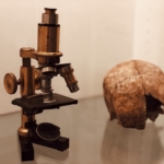 Zurich Museums Night, Palaeontological Museum of the University of Zurich