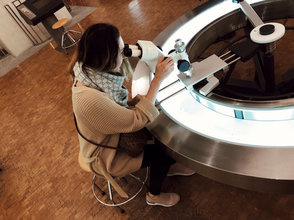 Zurich Museums Night, Palaeontological Museum of the University of Zurich
