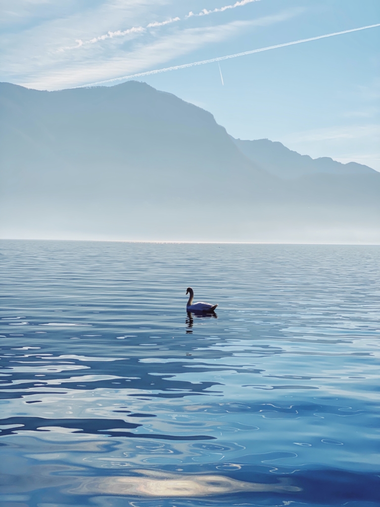 Lake Lugano