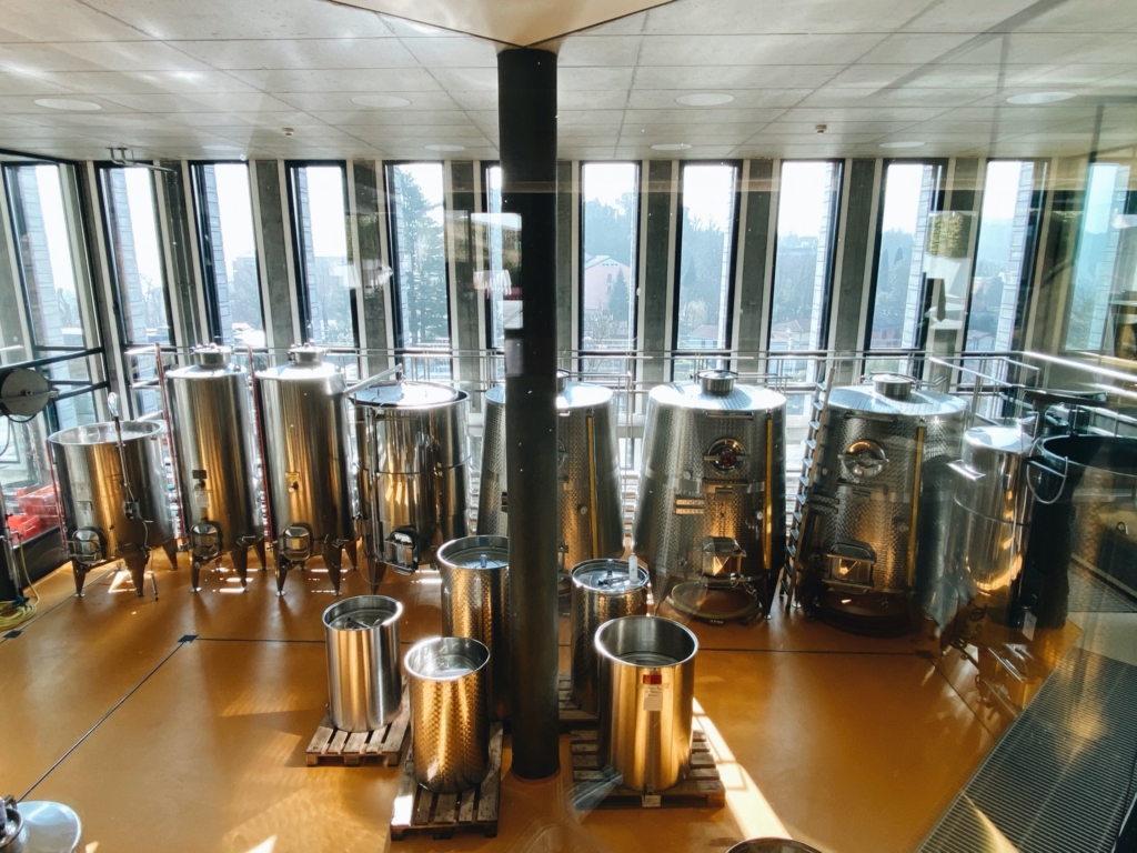 Visiting the Fattoria Moncucchetto Winery