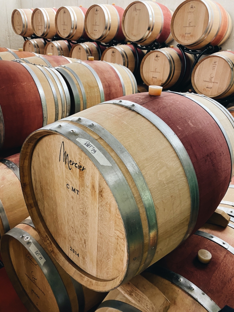 Visiting the Fattoria Moncucchetto Winery