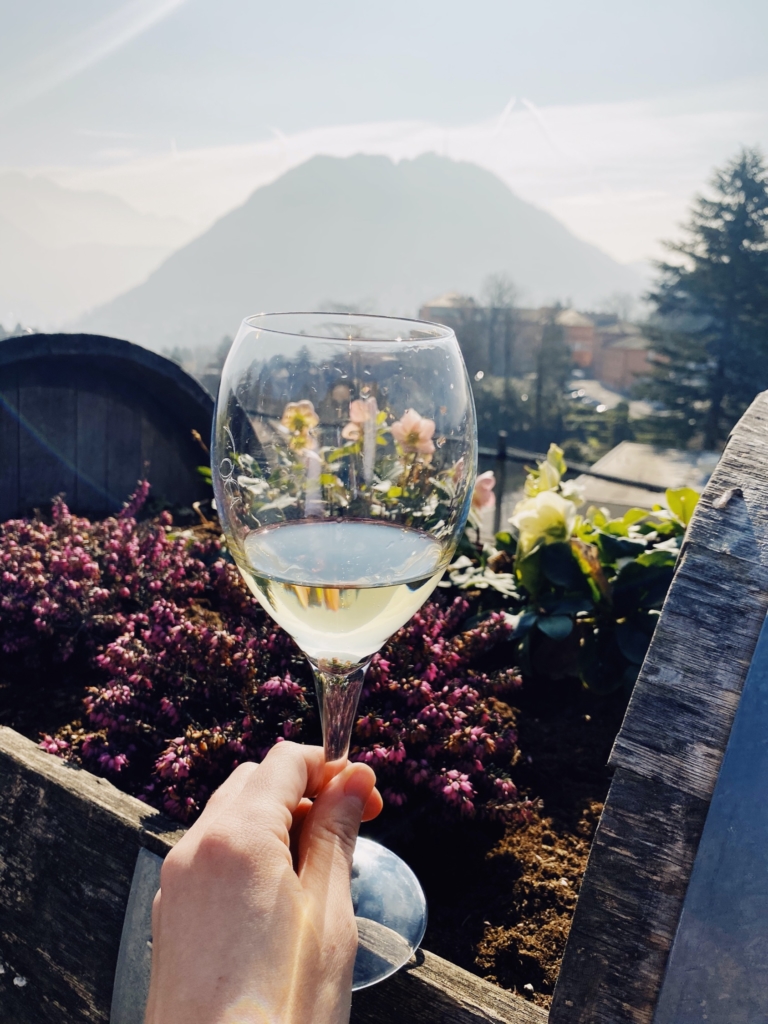 Visiting the Fattoria Moncucchetto Winery