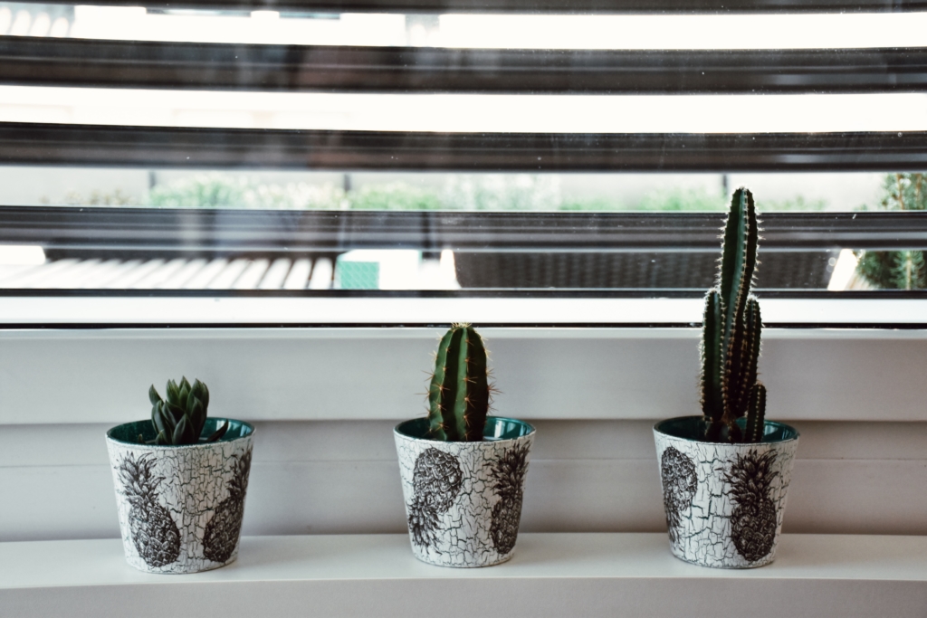 NOT BASIC upcycled interior design decorations