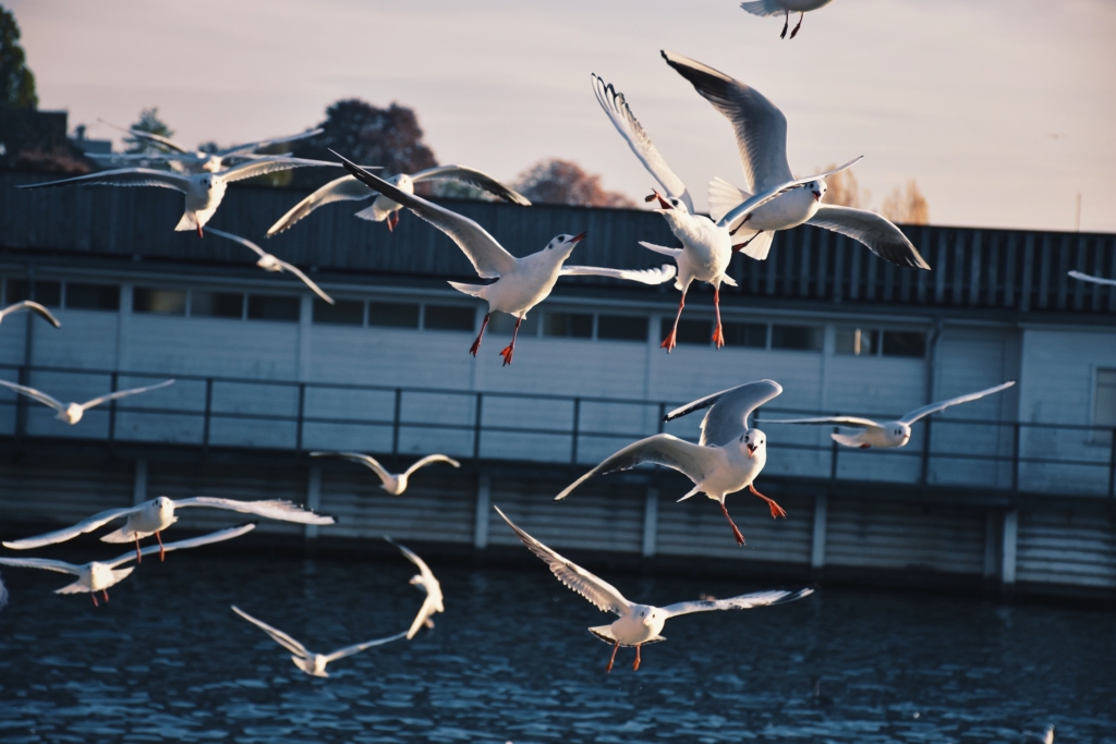 Lakeside park in the Zürich-Seefeld neighborhood