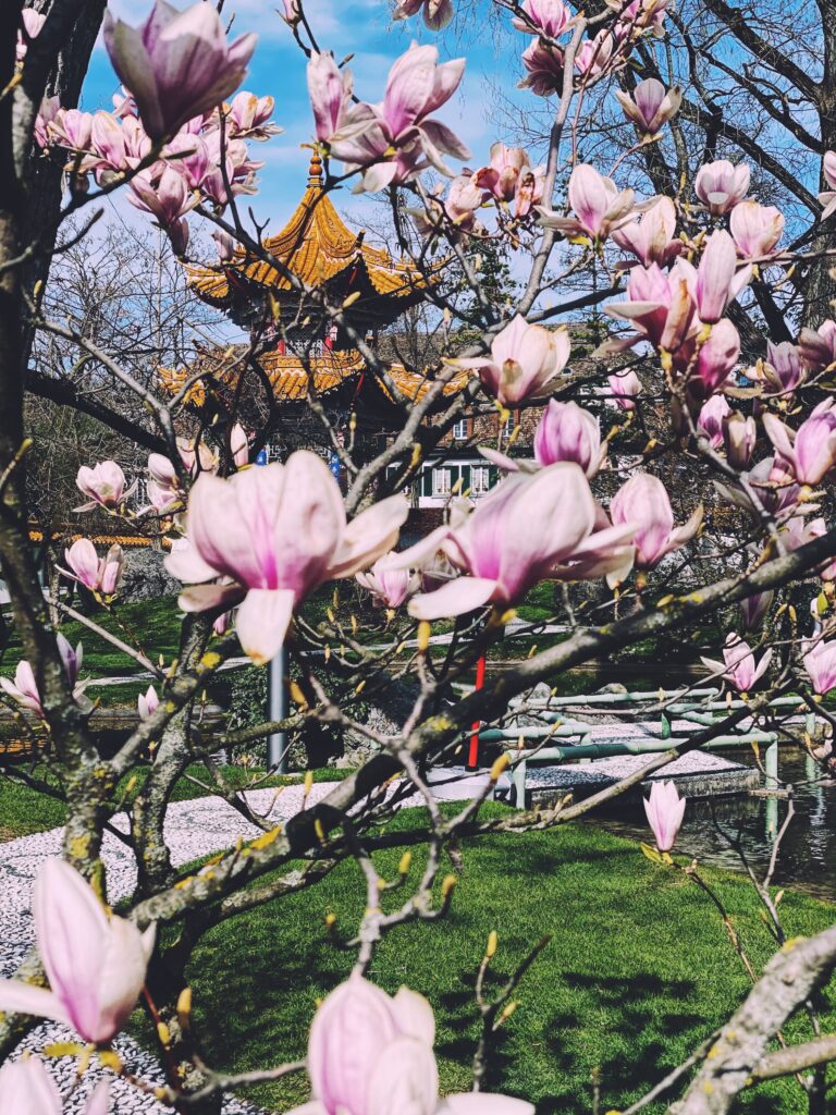 Chinagarten Zürich