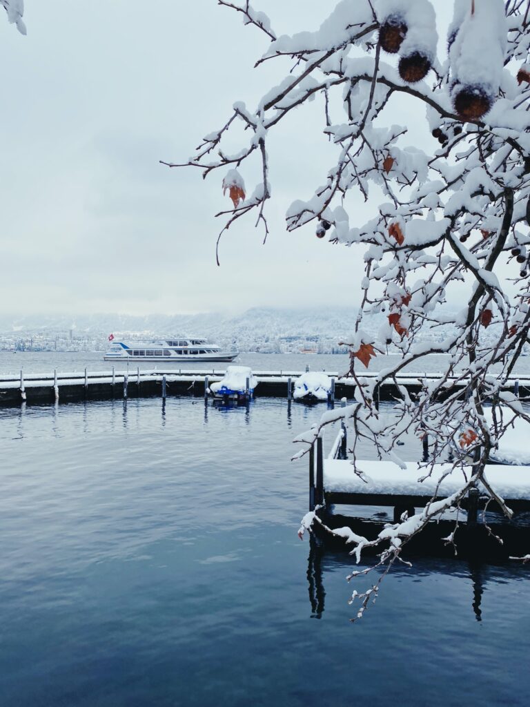 On the shores of Zurich Lake (Seefeld Promenade) during the record snowfall, January 2021
