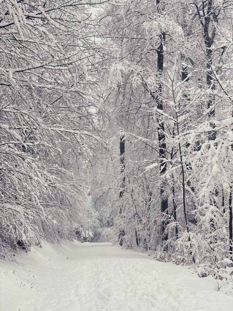 Record snowfall, Zürichberg, January 2021