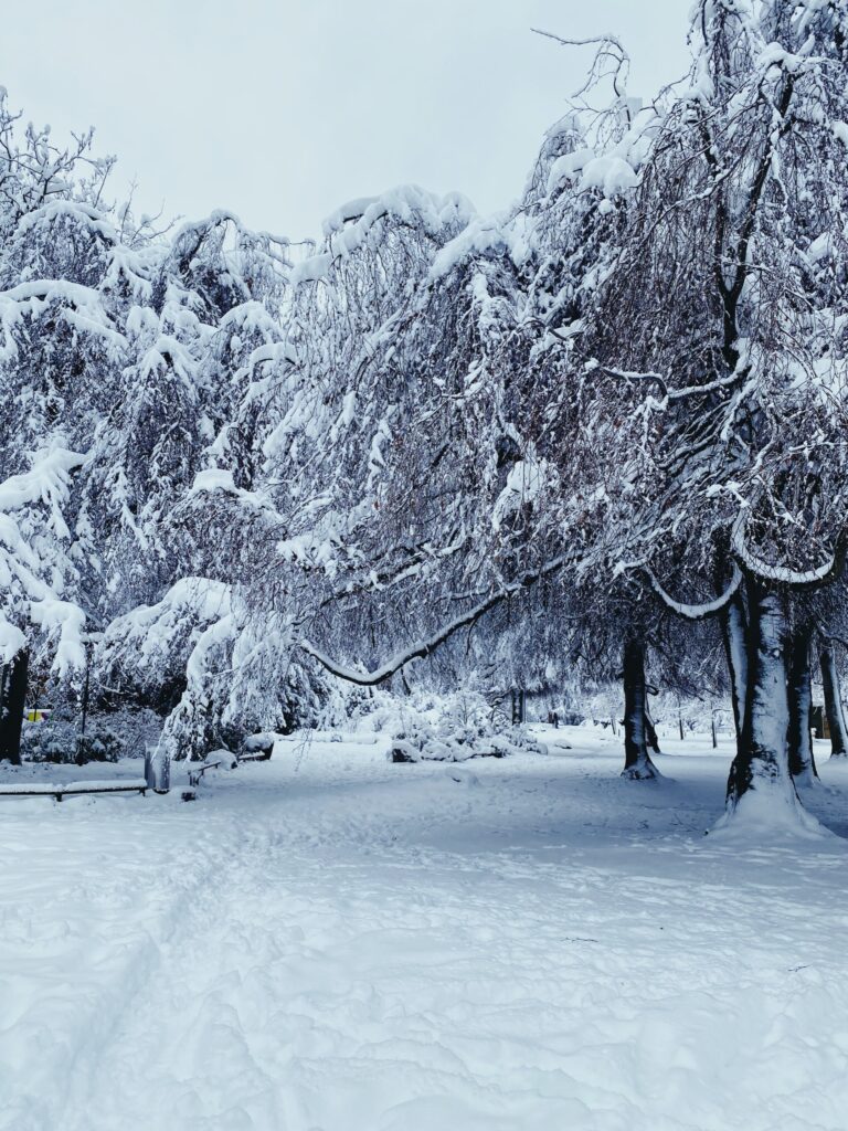 Record snowfall, Zürich Seefeld, January 2021