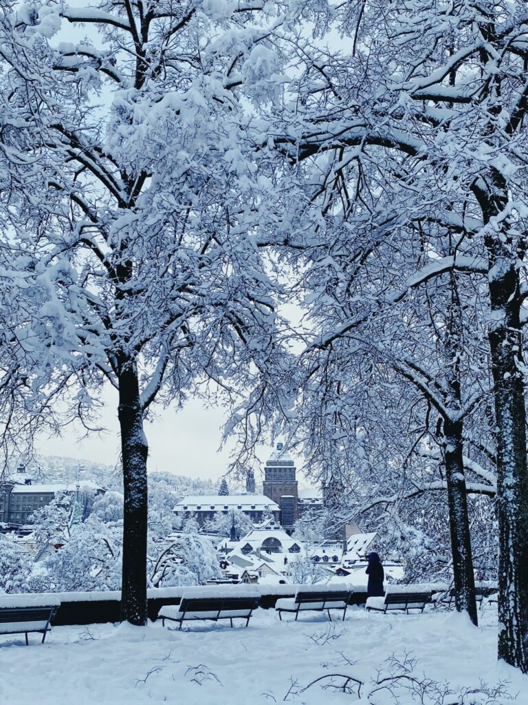 Record snowfall, Zürich Lindenhof, January 2021