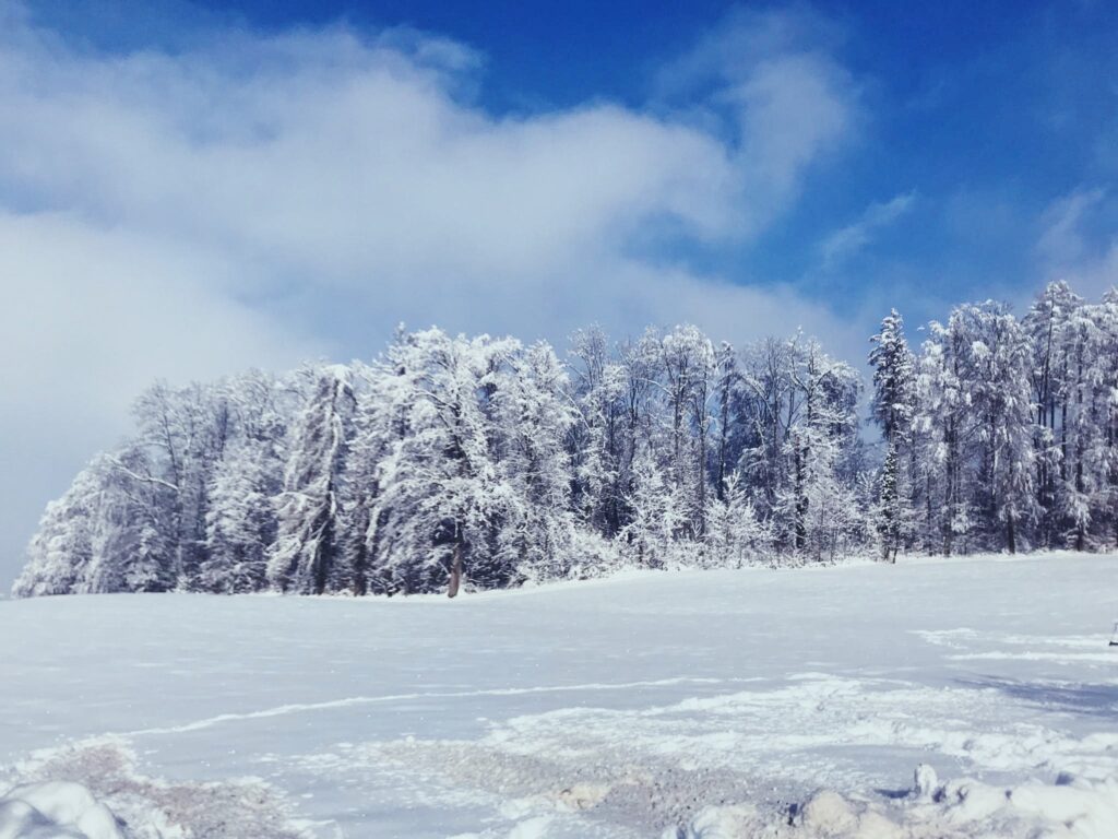 Record snowfall, Zürichberg, January 2021