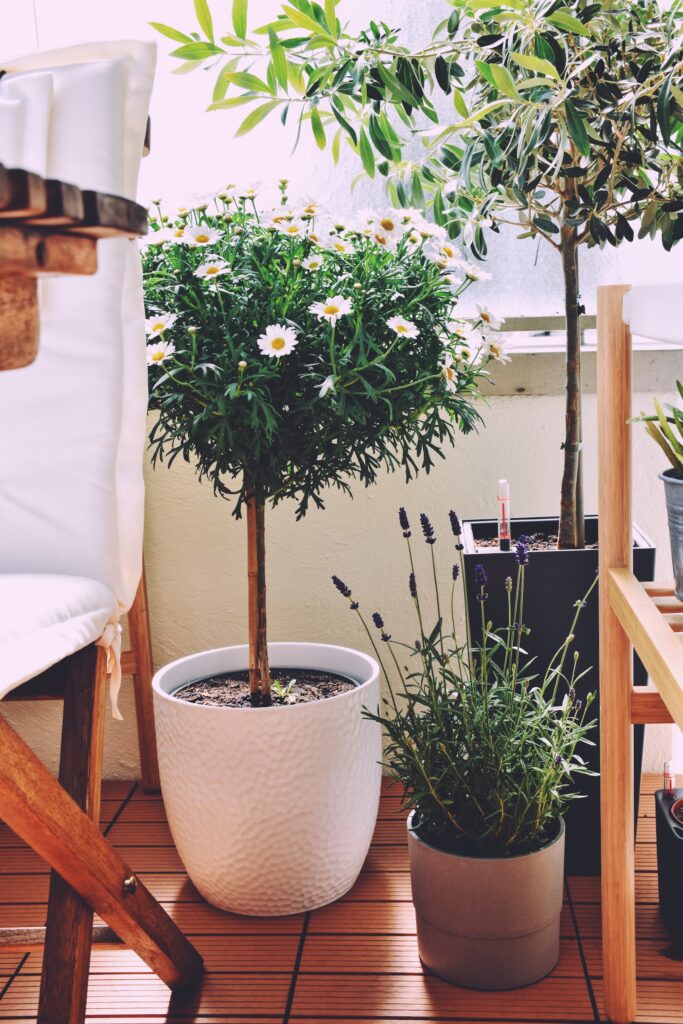 Urban Garden