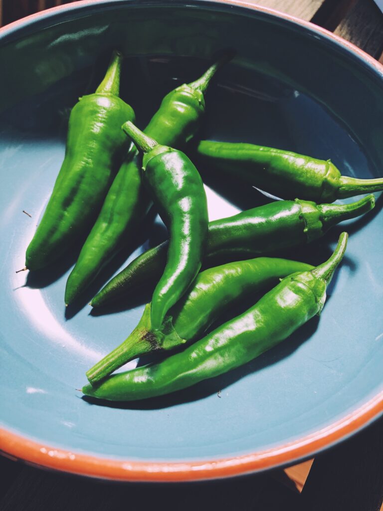 Chillies from the urban garden