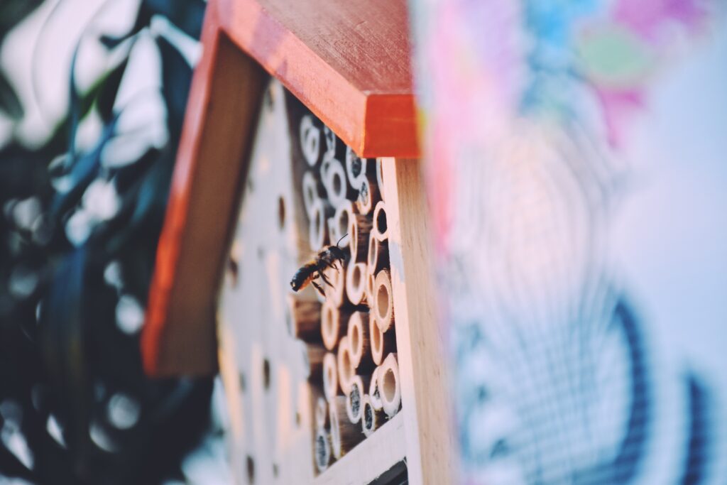 Mason Bees at the bee-hotel in the urban garden