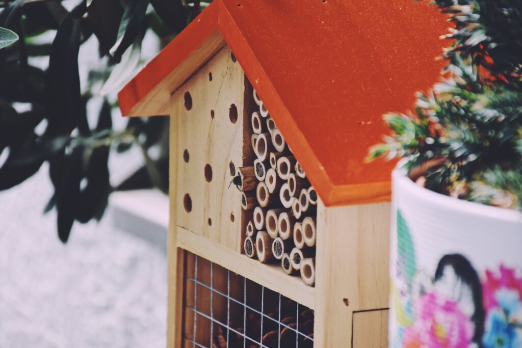 Mason Bees at the bee-hotel in the urban garden