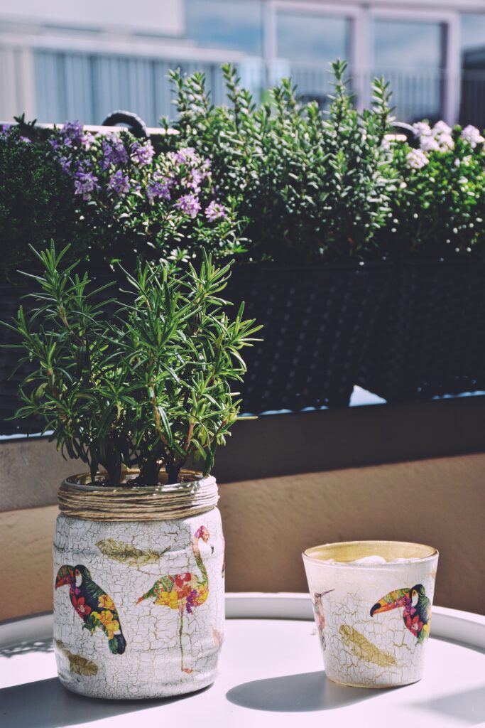 Upcycled glass jars as flower pots in the urban garden