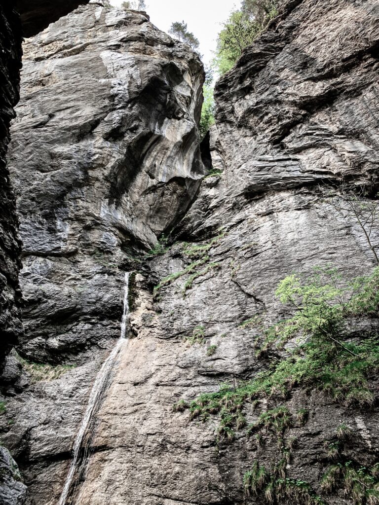 Aareschlucht (Aare Gorge)