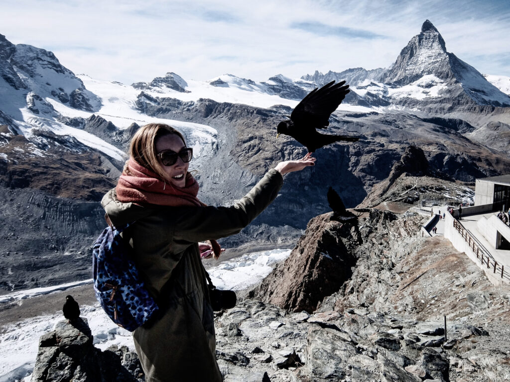 At the top of Gornergrat