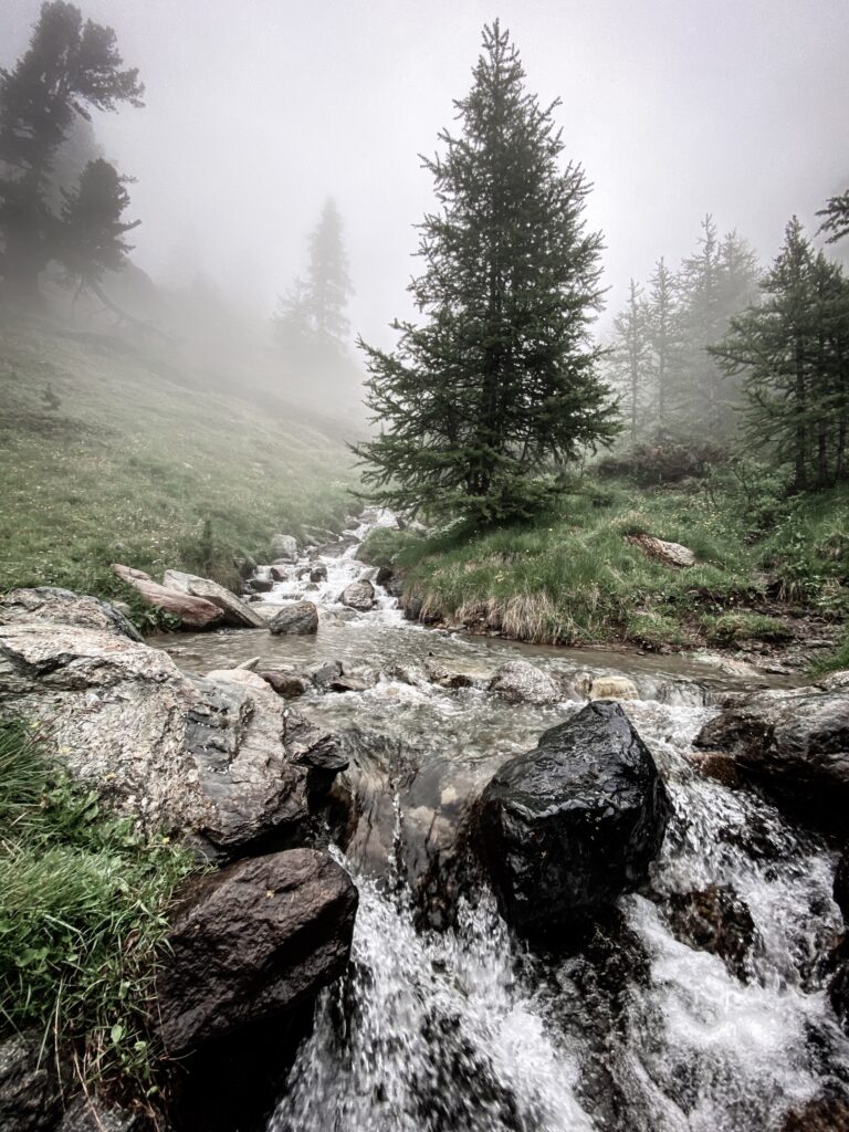 Unique microclimate makes Riffelalp Resort 2222m a great health-improving destination
