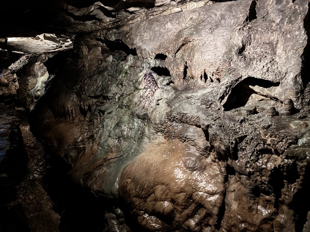St. Beatus Caves