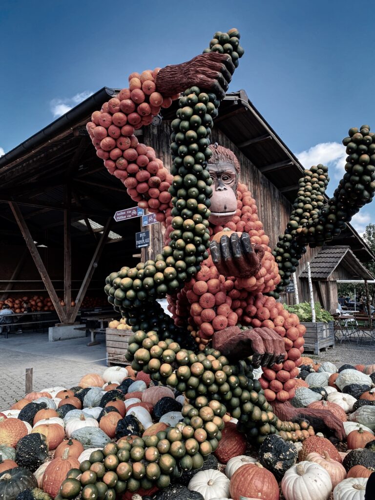 Pumpkin exhibition at the Jucker Farm Seegräben