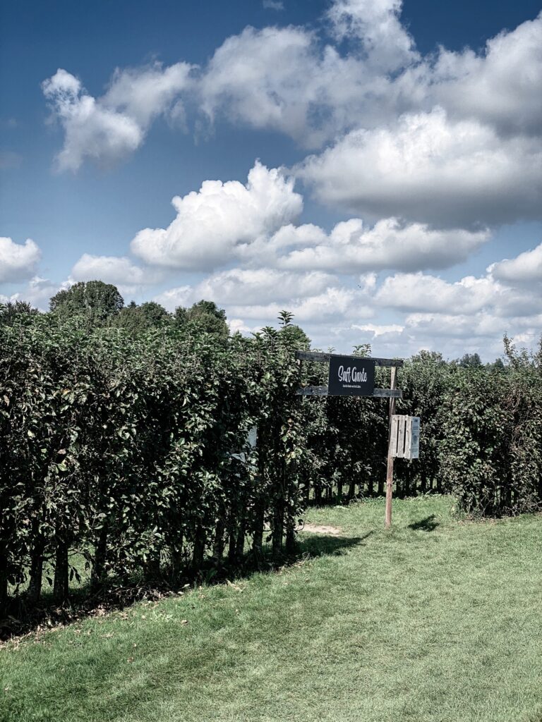Jucker Farm, Seegräben, Zurich