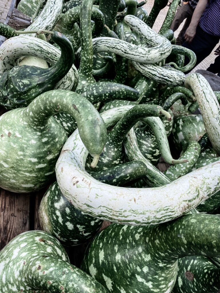 Farm market at the Jucker Farm