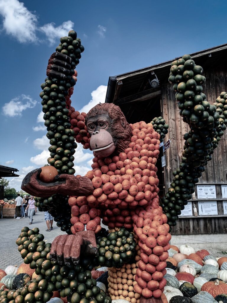 Pumpkin exhibition at the Jucker Farm, Seegräben, Zurich