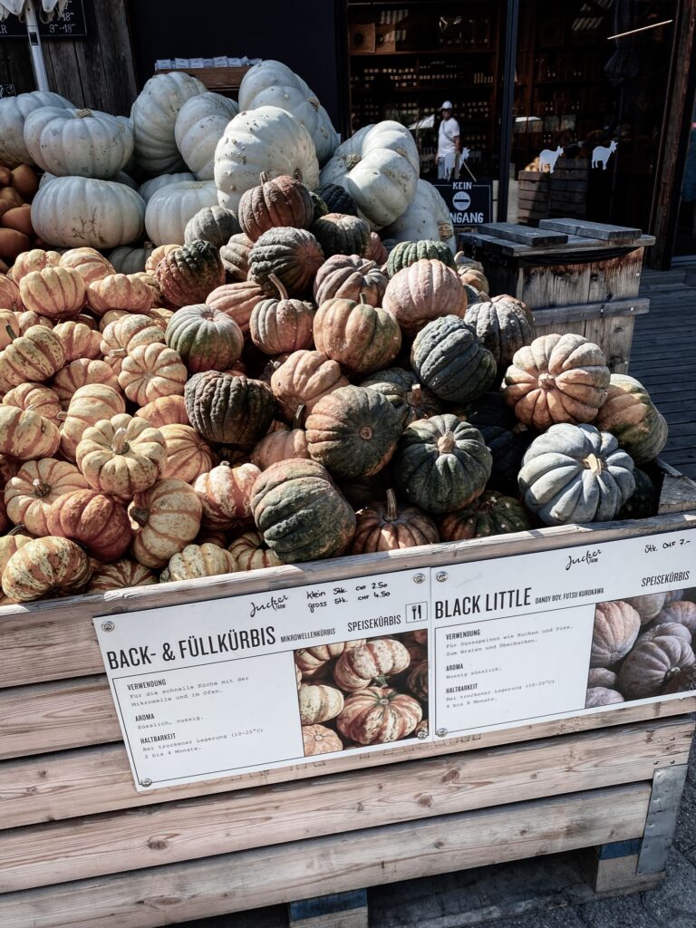 Pumpkins at the Jucker Farm